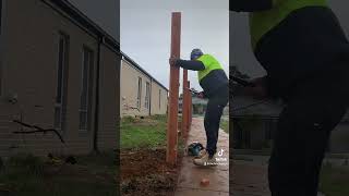 Building a timber fence diy fencebuilding work construction shorts howto [upl. by Eveiveneg]