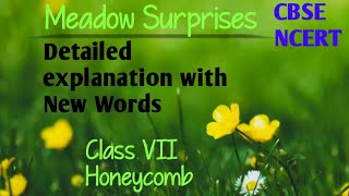 Meadow Surprises Detailed explanation with New Words cbsencertclass VII Honeycomb [upl. by Luedtke]