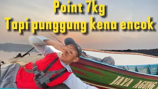 WOW POINT 7kg TAPI ENCOK DIPUNGGUNG KUMAT LUR [upl. by Aysahc258]