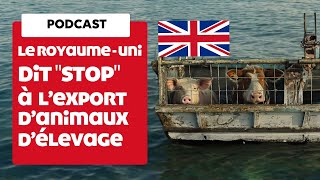 PODCAST  Le RoyaumeUni interdit lexportation danimaux délévage vivants [upl. by Camellia]