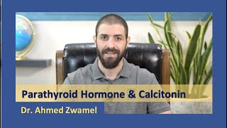 Endocrinology  Parathyroid hormone and Calcitonin  Dr Ahmed Zwamel [upl. by Patience187]