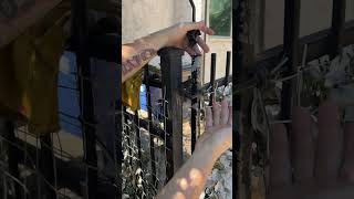 wrought iron fence repair mckinney texas  iron gate latch repair [upl. by Brahear286]