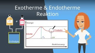 Exotherme und Endotherme Reaktionen  Beispiele und Energiediagramme [upl. by Ethan82]