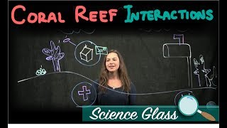 Coral Reef Interactions Vesicles [upl. by Roath]