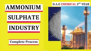 Ammonium Sulphate industrial Preparation  Production of Ammonium Sulfate  Fertilizer Industry [upl. by Hudgens]