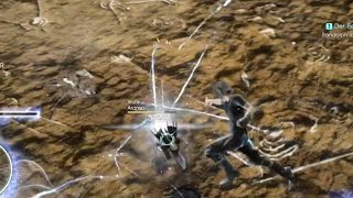 LvL 120 Aranea vs LvL 1 Noctis armiger  no hit [upl. by Mehalek]