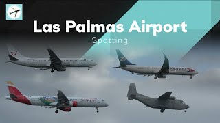 B789 A332 A321 B739ER A320 B738 A319 ATR72 C212  Las Palmas Airport  Spotting [upl. by Crowe]