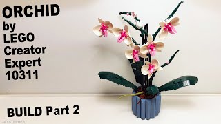 Orchid LEGO Creator Export Set 10311 Brick Build Part 2 [upl. by Llebanna]