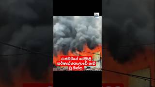 රාජගිරියේ ඇති වූ ගින්න 🔥🔥fire rajagiriya news newsinsrilanka newsupdate sinhalanews trending [upl. by Duma442]