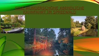 Wir waren auf einer wunderschönen Kahnfahrt am Abend im Spreewald [upl. by Annaert]