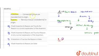 Assertion Connective tissue are mesodermal In origin Reason Nervous tissue is [upl. by Gilemette]