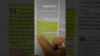 Bible reading Abundant Life Bible NLT [upl. by Jarret507]