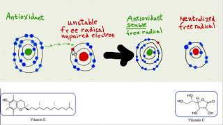 Quick review of EMF amp NO ONOO pathway [upl. by Alleahcim910]