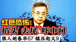 狠人胡春华67 镇压起义9 红色恐怖：掐头去尾吓中间 [upl. by Elyse596]