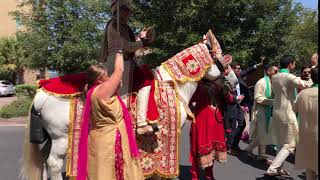 Baraat Indian grooms procession [upl. by Cerellia]