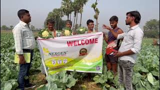 Nexgen NXG TEJAS Cauliflower Seeds A Step Towards a Healthier Bharat [upl. by Parette]