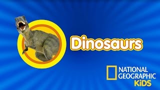 All About Dinosaurs  Nat Geo Kids Dinosaurs Playlist [upl. by Elagibba]