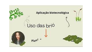 vídeo sobre a importância econômica e ecológica das Briófitas e Pteridófitas [upl. by Yellat]