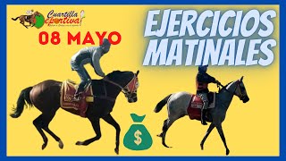 ✅EJERCICIOS🐴 WICKEWELLS y EL EXTERMINADOR en pista el miércoles 08 MAYO 2024 🏇en el V Centenario [upl. by Soutor]