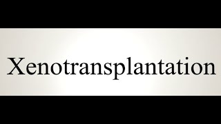 How to pronounce xenotransplantation EASILY [upl. by Vidal]