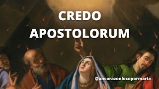 Credo Apostolorum 🇻🇦  Credo de los Apóstoles  uncorazonlocopormaria [upl. by Alyks]