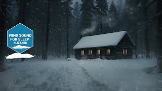 ❄️Winter Storm White Noise┇Sleep Study or Focus with Wind amp Snowstorm Sounds [upl. by Kora778]