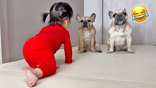 Our FUNNIEST Best Dog And Baby Moments of 2023 [upl. by Giannini]