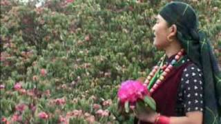 Gurung Movie Song “choquot tale ngi chu sai [upl. by Haraz860]