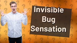 Why do I feel like Im being bitten by invisible bugs [upl. by Laleb]