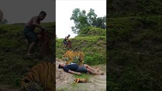 Open tiger attacking a man by the lake vfx tiger shorts wildlife videos viralvfx [upl. by Ymmat]