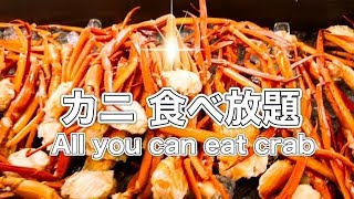 【カニ食べ放題付きバイキング】Buffet with allyoucaneat crab No72（2024118） [upl. by Hgalehs]