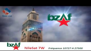 Bzaf TV fréquence sur nilesat [upl. by Peppie]