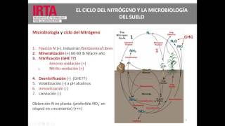 Dr Marc Viñas quotEcología microbiana del suelo y rizosferaquot [upl. by Noivax]