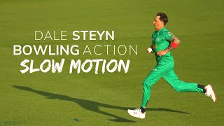 Dale Steyn Bowling Action SlowMotion [upl. by Jodie]