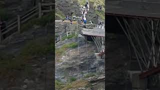 tintagel castle bridge Cornwall fyp everyone fypviral dads0111 subscribe cutecat [upl. by Ellehcsor]