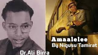 Best Of DrAli Birra Music by Nigusu Tamirat Amalele [upl. by Jemmie]