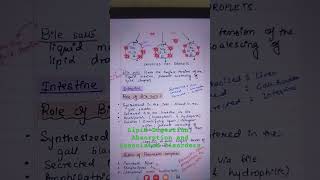 Lipid Digestion Absorption and associated Disorders medicaleducation biochemistry biomedical [upl. by Huei]