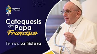 Catequesis del Papa Francisco  Tema La tristeza [upl. by Kcir]