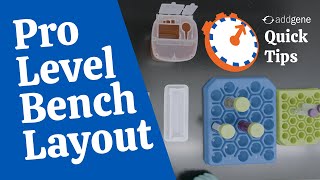 Your Bench Layout  Addgene Quick Tips [upl. by Kendricks]