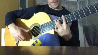 Taranta  Vicente Amigo  Flamenco guitar [upl. by Afatsom681]