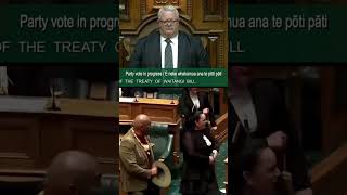 New Zealand Parliament Suspended After Haka Protest Against Indigenous Treaty  shorts [upl. by Senga]