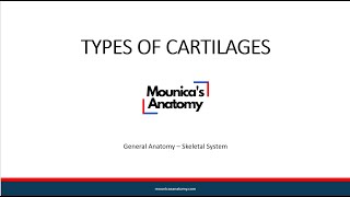 General Anatomy  Skeletal System  Types of Cartilages [upl. by Swords]