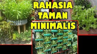 TIS Cara Tanam Lahan Sempit Untung Selangit SawiCabeTomatTerong Growing Plant in Small Garden [upl. by Nniroc753]