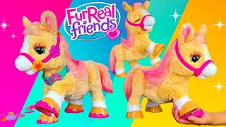 New FurReal Cinnamon My Stylin Pony Horse Interactive Pet Hasbro Toy Unboxing  Super Cute Toy [upl. by Dijam768]