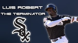 Luis Robert Hype Video 2020  quotThe Terminatorquot  Chicago White Sox Highlights [upl. by Llertnac95]