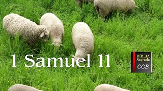 1 Samuel 11  Bíblia CCB Narrada [upl. by Mitchell]