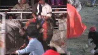 jaripeo albarran [upl. by Eleik]