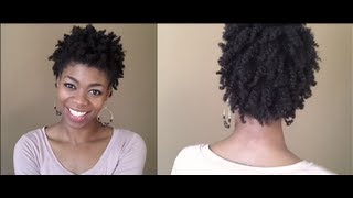 Natural Hair 4C  Twist Out Results [upl. by Kiryt450]