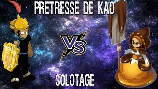 SOLOTAGE Prêtresse de Kao  Iop  Dofus 271 [upl. by Bocoj298]