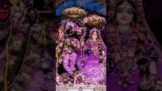 Radha Rani Ka bahut Hi Madhur bhajan 🌿🌺radharaani radheshayam krishnabhagwan radhekrishna radha [upl. by Oicaroh]